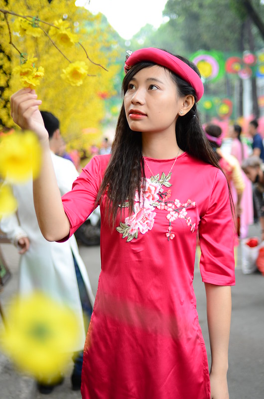 32675637825_e05f9efe9b_c DSC_1749