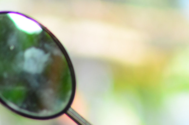 32675844295_cbe5e0c1b8_z vien tim