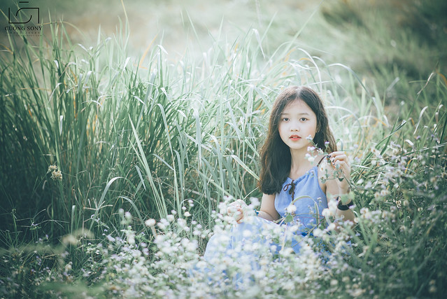 32897949270_0aeaea6370_z DSC_0429