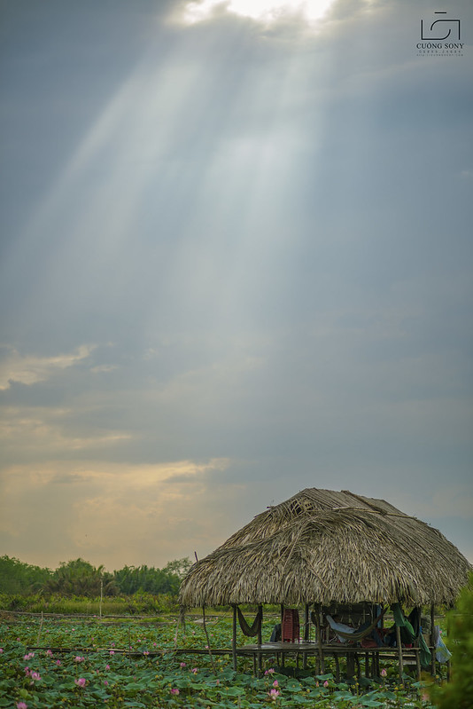 32905528924_6c20856158_c DSC_3008