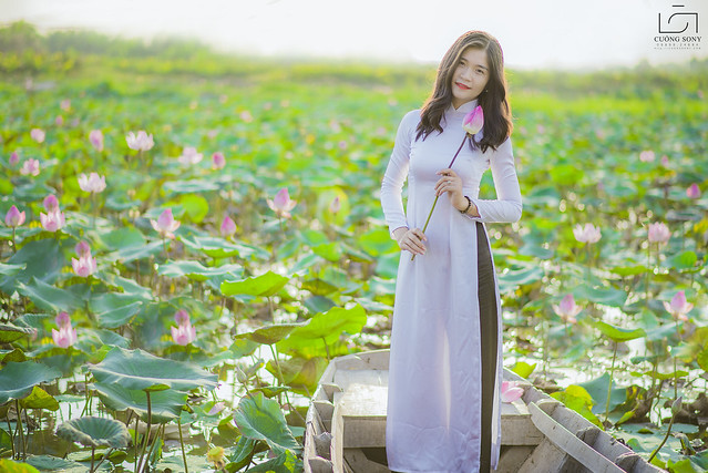 33363923380_a7fc231a51_z DSC_3144