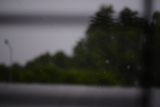 33421359660_f189f90551_z DSC_3557