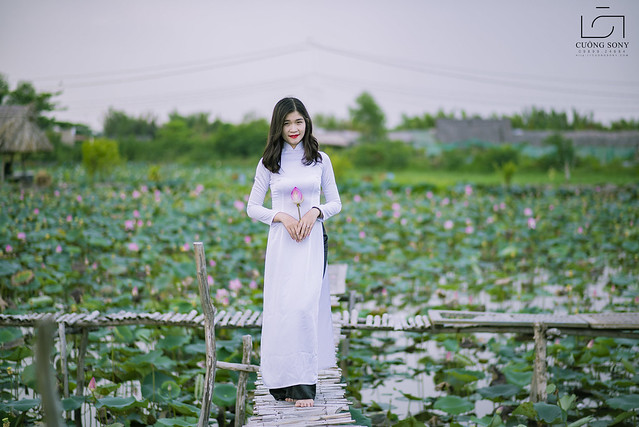 33592336672_2879f4b5f7_z DSC_3064