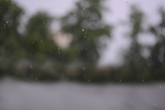 33649901302_53fc0f5832_z DSC_3559