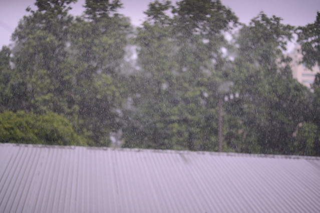 33649904402_30743928c0_z DSC_3550