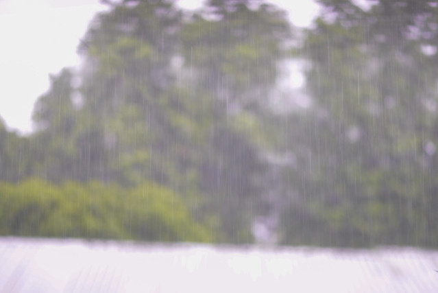 33649905102_2536c34a36_z DSC_3549