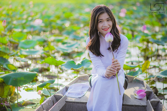 33748599025_2febc88553_z DSC_3125