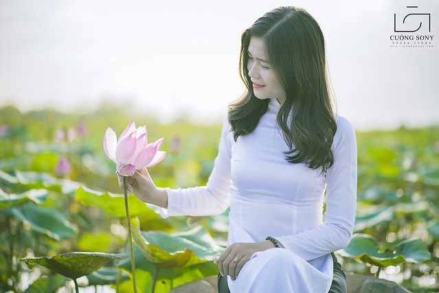 33748604805_a31e4a13a0_z DSC_3109