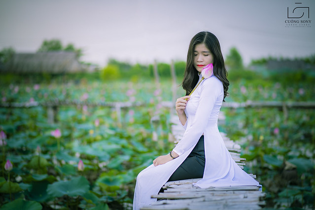 33748615835_c529a453a3_z DSC_3068