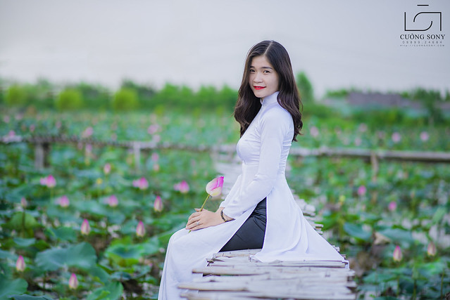 33748616795_c9397af99c_z DSC_3067