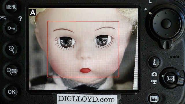 33937455941_6df8c40e93_z mf canon nikon