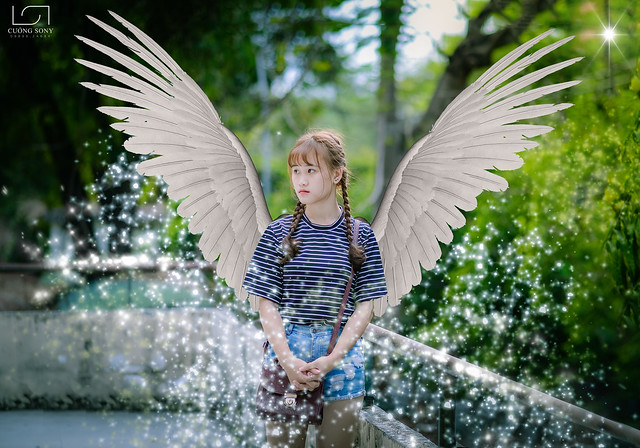 33967752295_5c122bab99_z DSC_3253