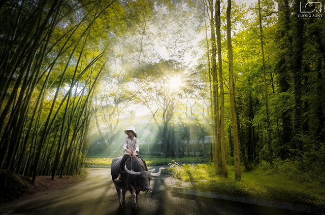 34263663484_b2392aa2d8_z manip