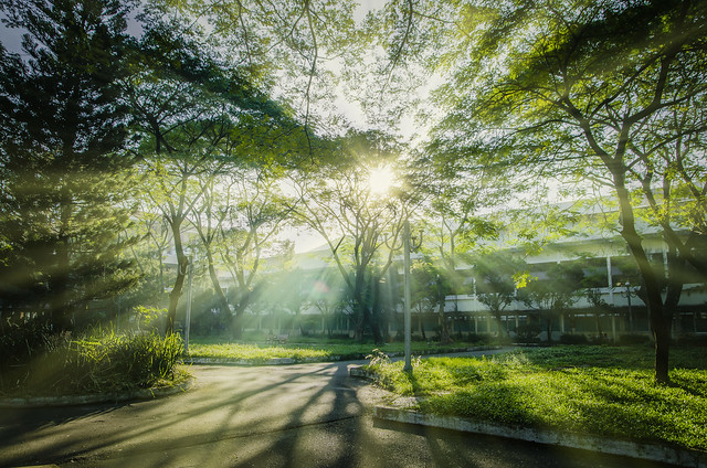 34263664894_2f3abc623b_z 33485320422_f60d2c6c98_o