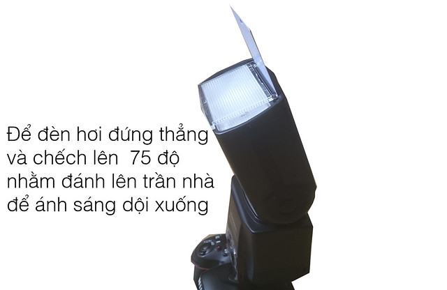 34312814275_a30f441d82_z 34154524802_ef94ceff17_o