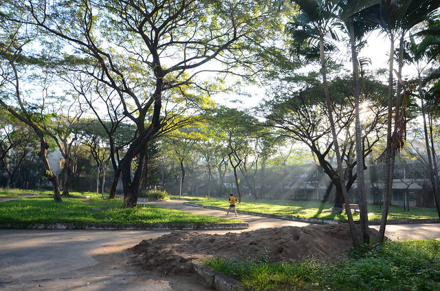 34319739251_f1321ddd89_z DSC_9635