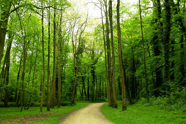 35067935426_c4b4cc5b9d_z mg_56381r