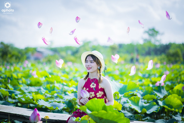 35466807234_3468066dc7_z DSC_8595