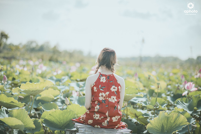 35495358643_0000be11df_z DSC_8575