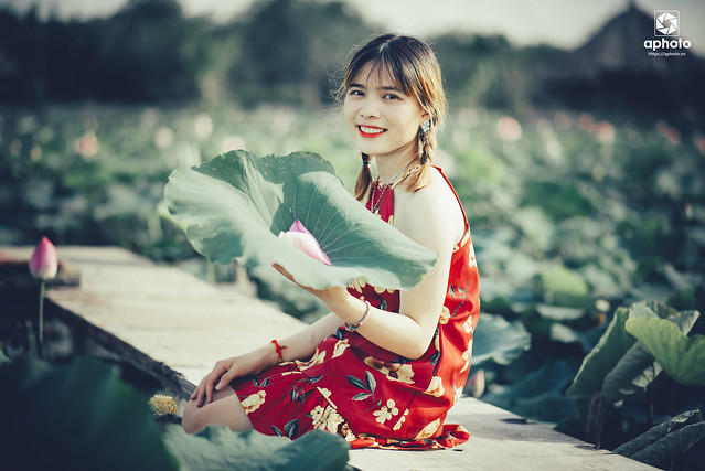 35907375780_e9edfc86bf_z DSC_8611