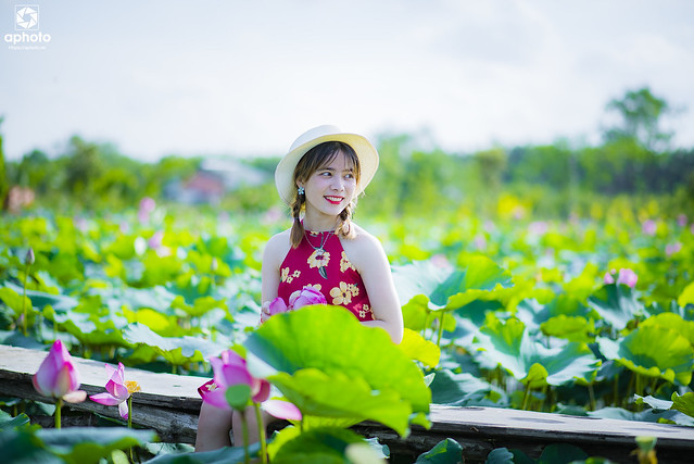 35907379970_385d593790_z DSC_8588