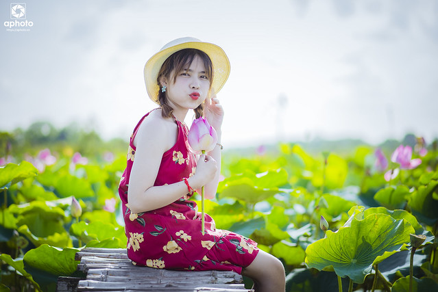 35907380540_cba6a422af_z DSC_8582