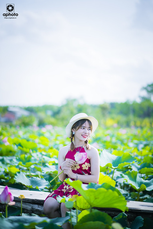 36168378941_2c58760dcc_c DSC_8593