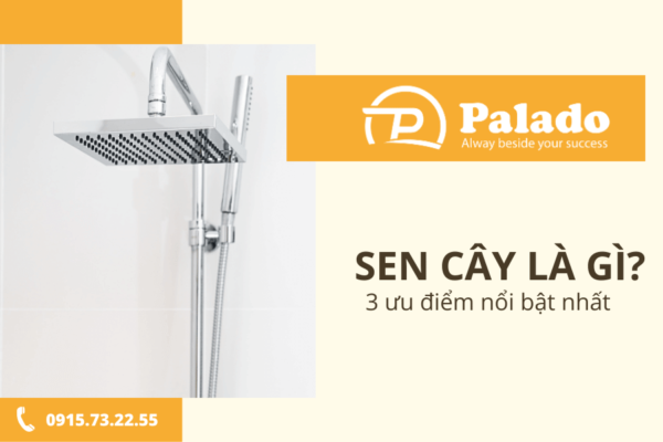 Sen cây là gì Ưu điểm của sen cây (6)