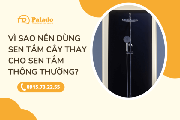 Vì sao nên dùng sen tắm cây thay cho sen tắm thông thường (1)