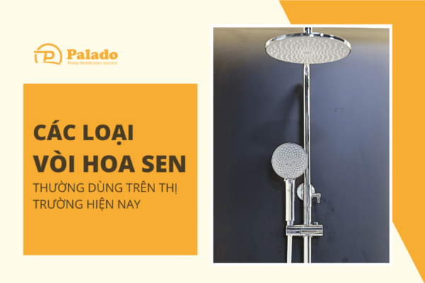 Vòi hoa sen Một số loại thường dùng trên thị trường hiện nay (1)