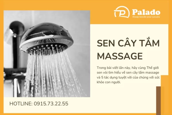 Sen Cây Tắm Massage và 5 tác dụng bất ngờ với sức khỏe