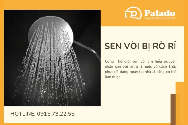 Sen vòi bị rò rỉ nước và cách khắc phục