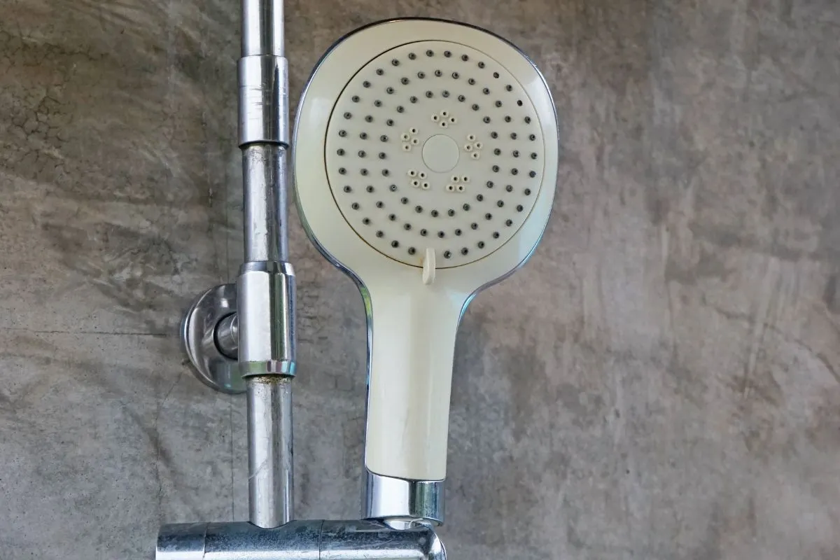 Vòi sen tắm đứng bằng nhựa thông thường Palado thường được coi là sự lựa chọn đơn giản và tiết kiệm
