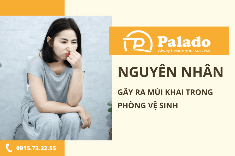 Nguyên nhân gây ra mùi khai trong phòng