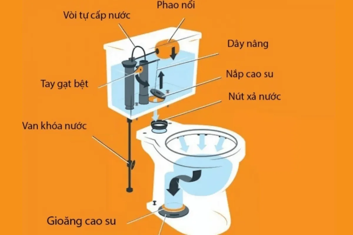 Bồn cầu xả nước yếu: Nguyên nhân và cách khắc phục 