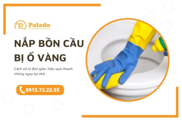 Cách tẩy rửa nắp bồn cầu bị ố vàng đơn giản nhanh chóng 1