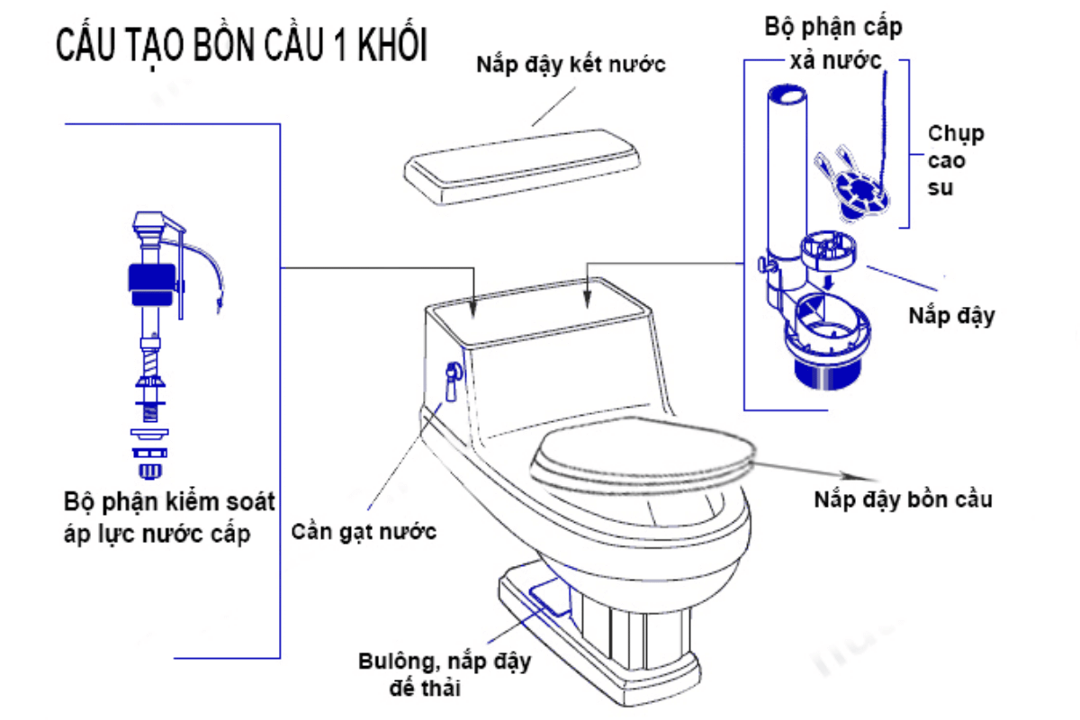 Cấu tạo bồn cầu 1 khối