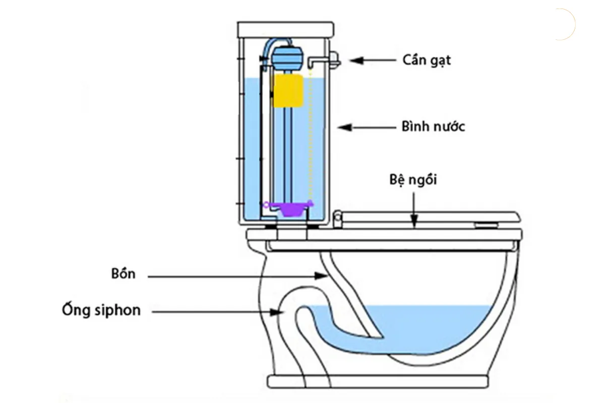 Giới thiệu về bồn cầu, hay còn gọi toilet