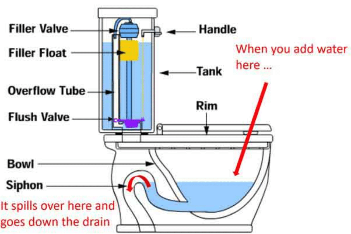 Nguyên lí hoạt động của bồn cầu