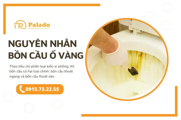 Nguyên nhân chính khiến bồn cầu bị ố vàng