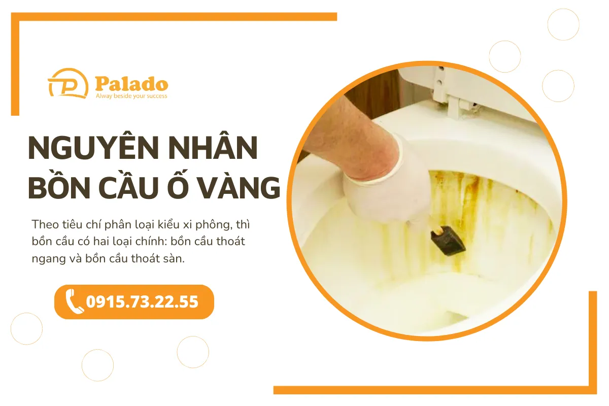 Nguyên nhân chính khiến bồn cầu bị ố vàng