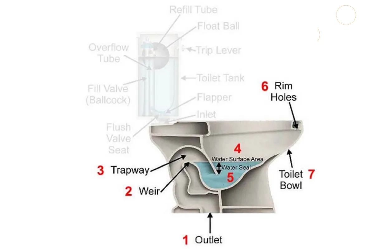 Phần thân bồn cầu 