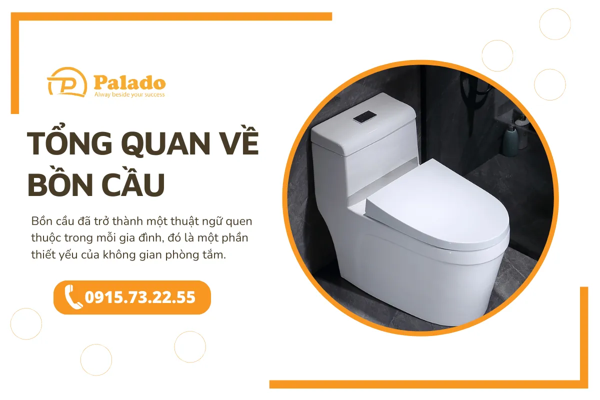 Tìm hiểu chi tiết về bồn cầu, hay còn gọi là toilet