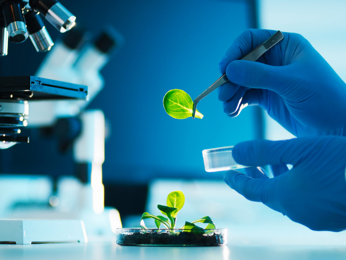 Du học Đức ngành công nghệ sinh học