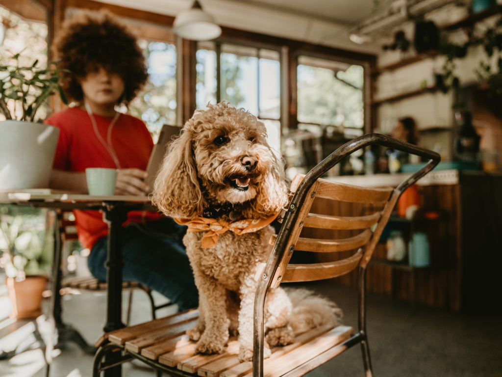 Cú Sốc Văn Hóa Ở Đức