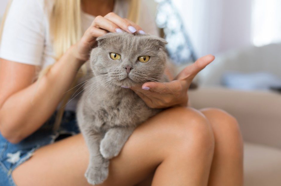 Bảo hiểm trách nhiệm ở Đức