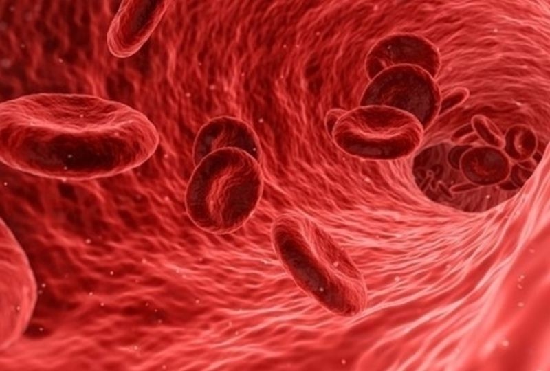 Mẫu câu hữu ích khi đi khám bệnh tại Đức