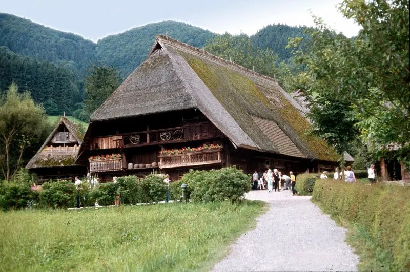 Rừng đen ở Đức