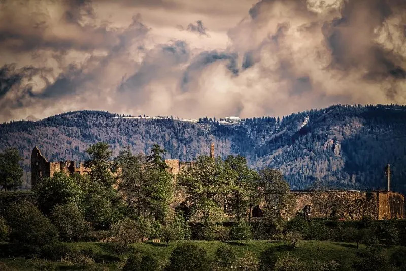 Rừng đen ở Đức