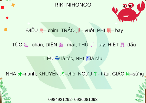 hoc-bo-thu-qua-tho-6